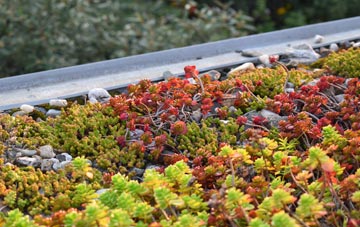 the cost of Pontypool green roof installation