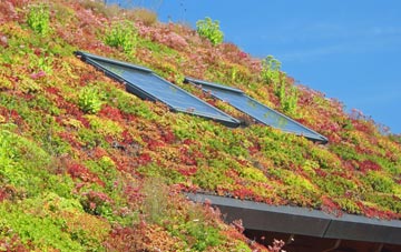 Pontypool living roof systems